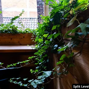 https://cozy-antwerp-apartments.hotelsantwerp.net
